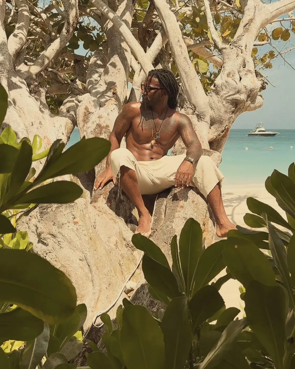 UBORA founder James Manley, seated in a sea-grape tree above the beach
